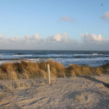 House Texel